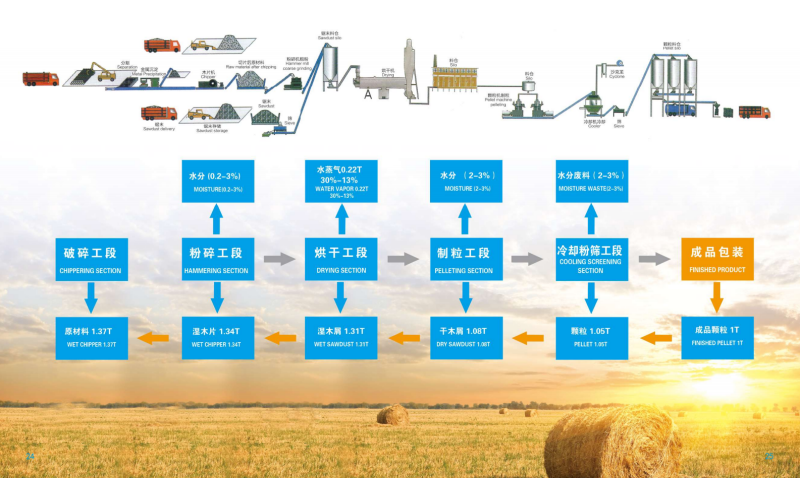 懂球帝  宣传册_13 - 副本.png